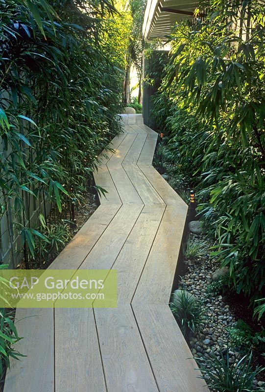 Zig zag boardwalk path between Bamboo and Ferns