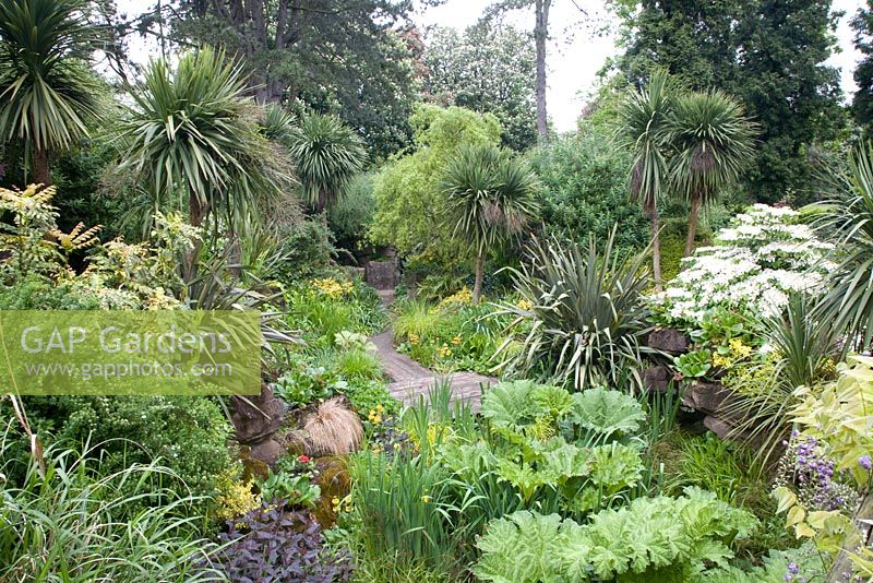 Bog garden - Dewstow Hidden Gardens and Grottos