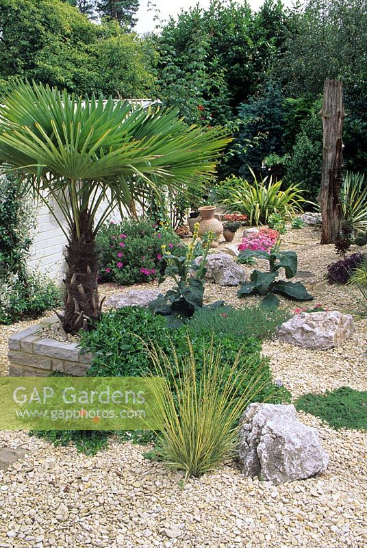 Gravel garden with mixed planting