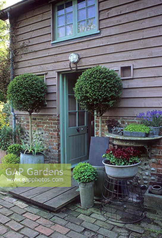 Back door surrounded by containers and lollipop trees - The Kitchen Garden, Suffolk