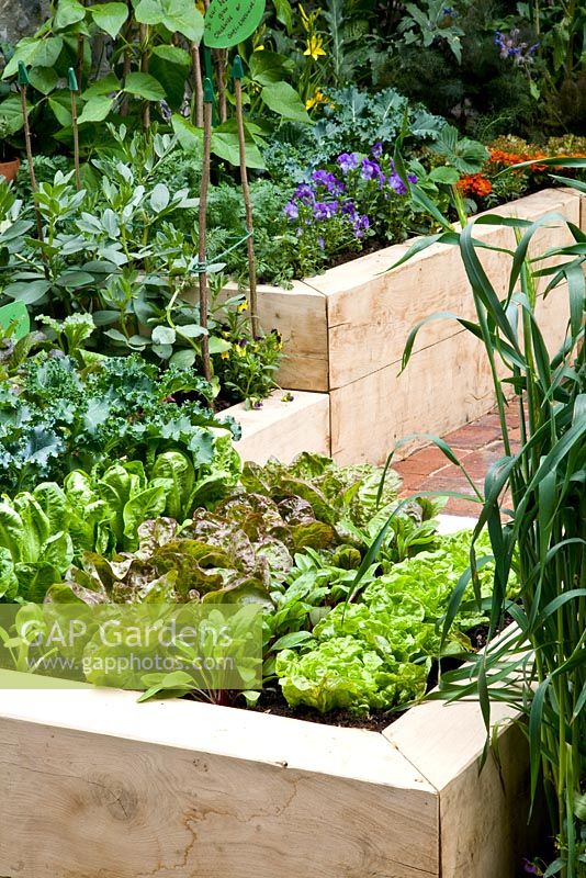 Courtyard gardens, Design - Nick Williams-Ellis, Sponsor Dorset Cereals Edible Playground at RHS Chelsea Flower Show 2008 Best courtyard garden in Show and Gold Medal Winner