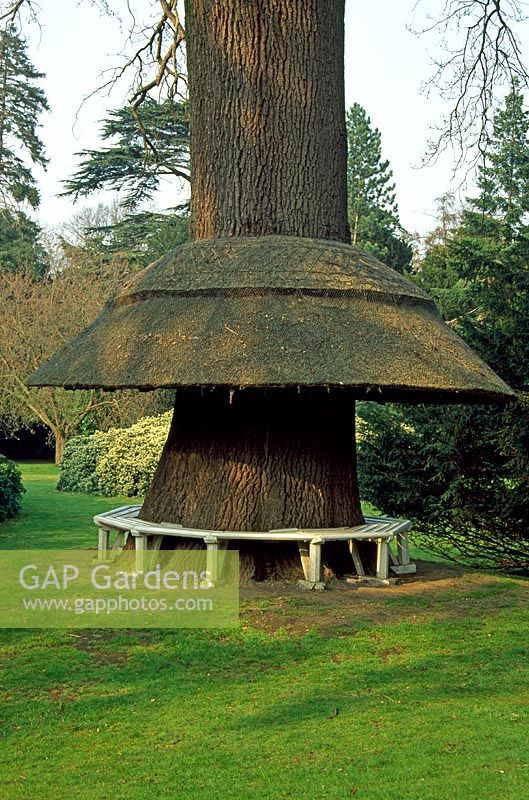 Tree seat with unusual thatched roof