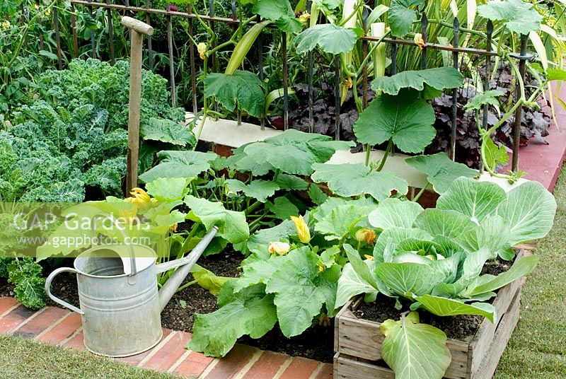 Small vegetable plot in Show Garden 'From Life to Life, A Garden for George' at Chelsea Flower Show 2008