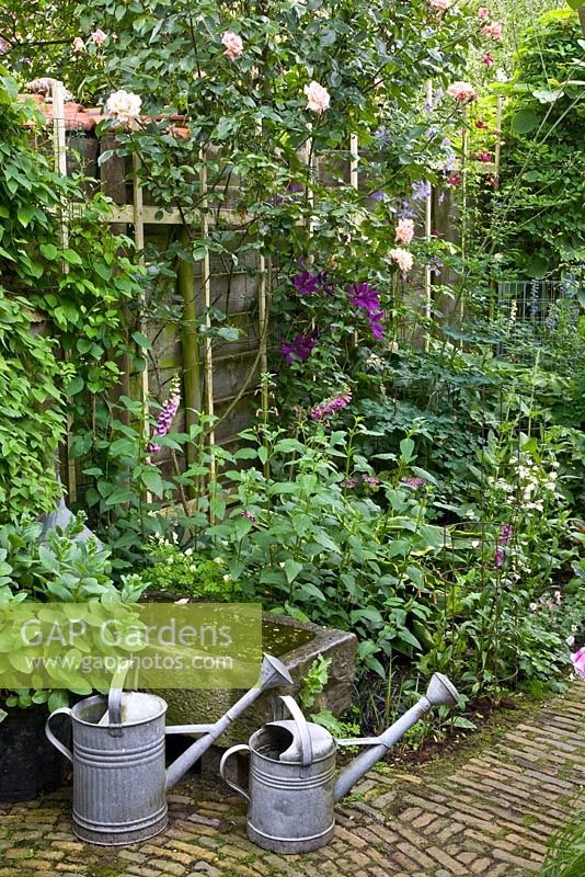 Mixed bed with Rosa and Clematis next to ornamental stone sink