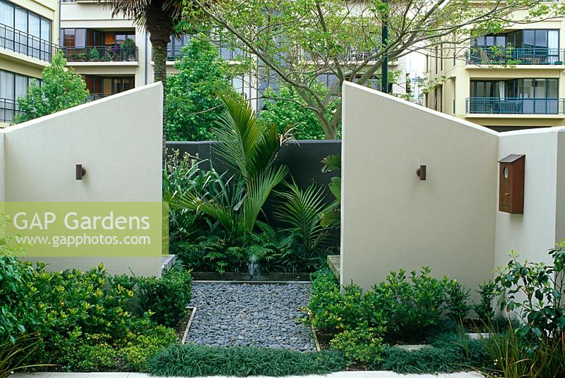Cream painted dividing walls and symmetrical tropical planting, bird box on wall - Auckland, New Zealand