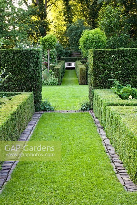 Grass paths and evergreen hedges in formal country garden