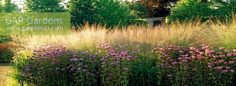 Molinia caerula subsp. arundinacea 'Transparent' and Monarda 'Pawnee' at Scampston Hall designed by Piet Oudolf