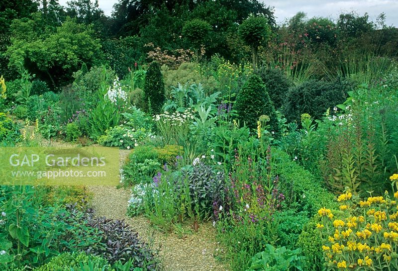 Mixed borders including Phlomis, Salvia, Cynara and topiary pyramids, central pond feature - Designed by Penelope Hobhouse, The Coach House, Bettiscombe