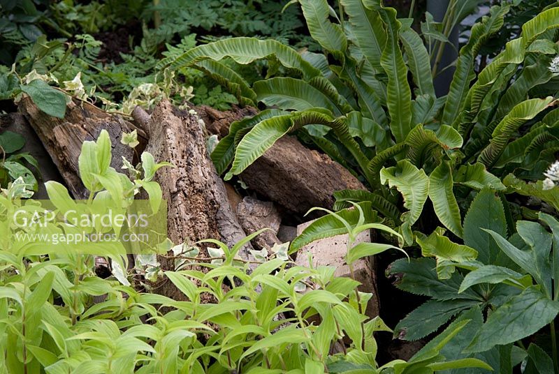 Wood pile for wildlife, surrounded by vegetation, in the 'Reflection' garden - Tatton Flower Show 2008