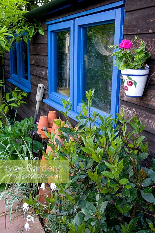 Wooden shed with blue painted windows, ceramic hanging pot with geranium and neatly stacked terracotta pots