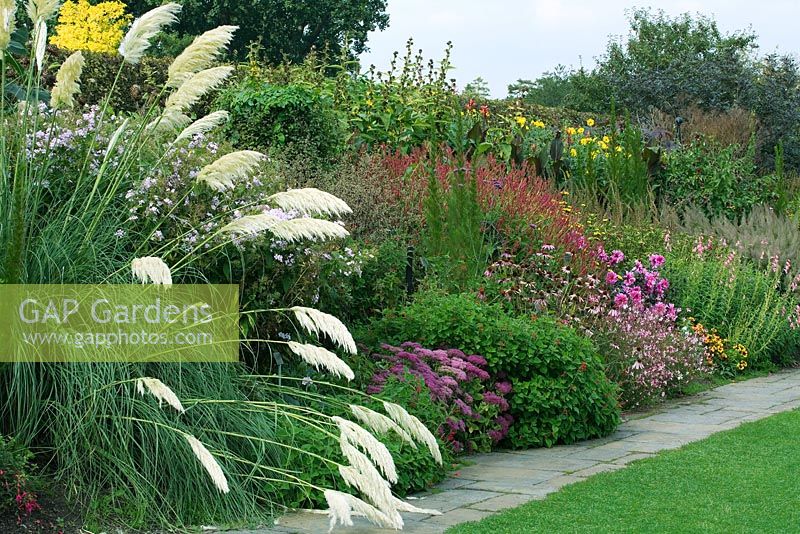 Cortaderia selloana 'Pumila' - Battleston Hill border at RHS Wisley