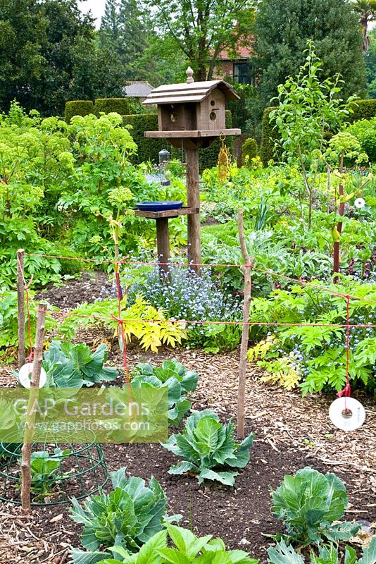 Vegetable garden in May