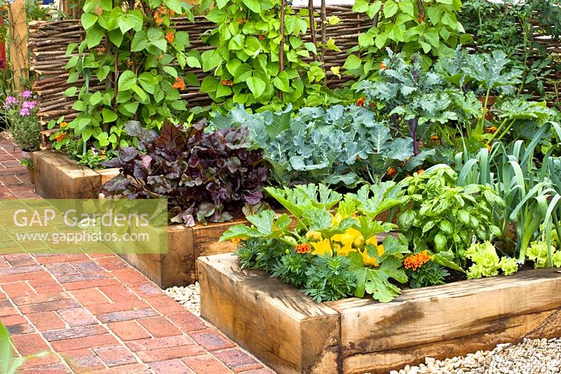 Raised wooden beds in vegetable garden
