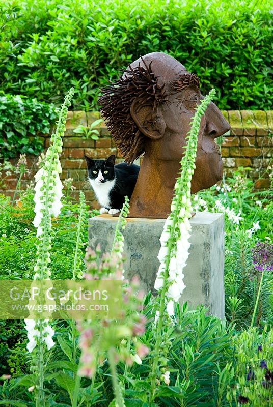 Fangle the family cat on sculpture by Paul Richardshon with Digitalis in foreground