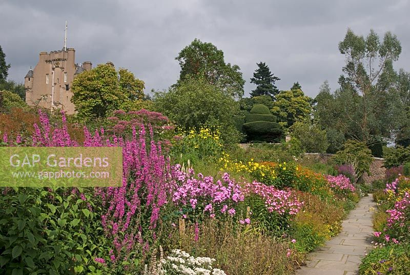 Late summer herbaceous borders at Crathes Castle Garden, Aberdeenshire, Scotland