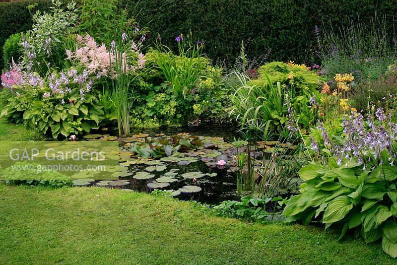 Attractive pond in a small garden giving a natural appearance by a grass edge and backdrop of moisture loving shrubs and perennials
