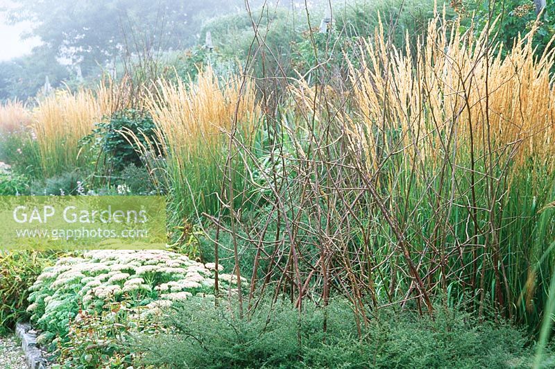 Detail of double herbaceous border with calamagrostis 'Karl foerster', Sedum  spectabile 'Autumn Joy', catmint, tradescantia and Asters with their twiggy supports at Kingston Maurward Gardens