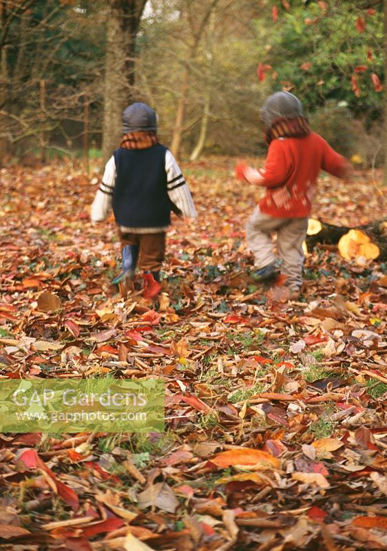 Children running amongst falling autumn leaves