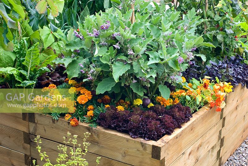 Vegetables in timber frame raised bed - The Homebase Room with a view Garden - Hampton Court Flower Show 2008

