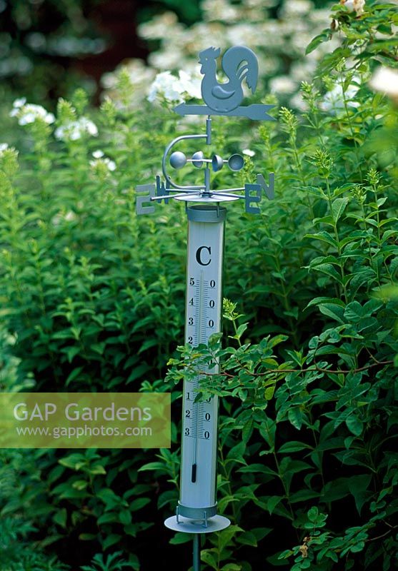 Weather station in garden with thermometer, wind gage and weathervane