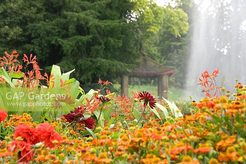 Crocosmia, Dahlias and Helenium with Pagoda covered in mist from the fountain