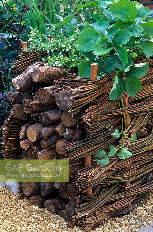 Raised bed edged with low willow hurdles and logs creating a wildlife haven in 'The Beehive' garden, RHS Hampton Court Flower Show
