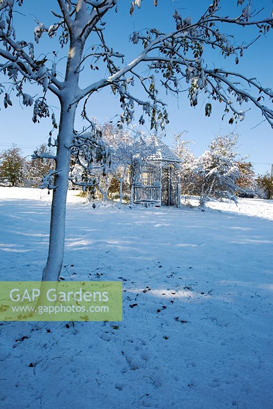 Fresh covering of snow on a rustic wooden gazebo in country garden with Fraxinus tree in foreground