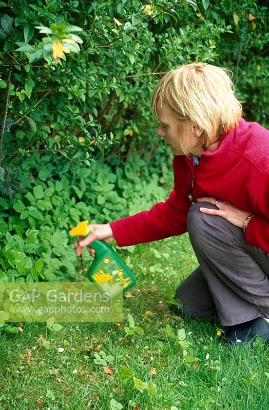 Woman spraying weeds with weedkiller