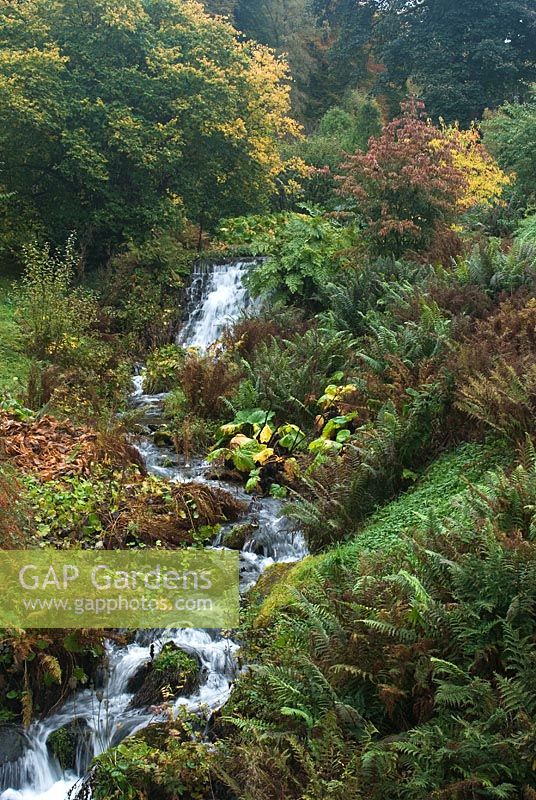 The Scrape Burn - A gushing stream with autumn colours at Dawyck Botanic Garden, Peebleshire, Scotland