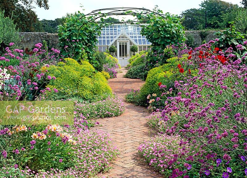 Herringbone brick path leads to greenhouse, edged with  Verbena bonariensis, Alstromeria 'Queen Elizabeth The Queen Mother', Euphorbia ceratocarpa, Geranium 'Mavis Simpson' and Geranium 'Rozannie'. Runner beans are climbing up the central gazebo - The walled garden at Haddon Lake House