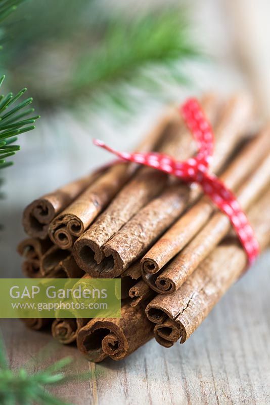 Bundle of cinnamon sticks tied with red ribbon on wooden surface