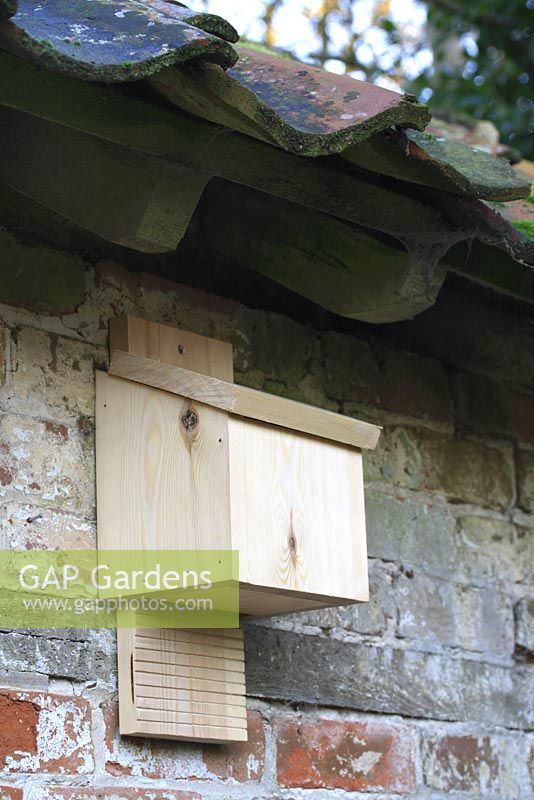 Step by step 7 of making a bat box from a single length of timber - The finished bat box on sheltered wall beneath roof eaves. Boxes should be mounted in a tree or garden wall at a height of between 2.5 to 5 metres