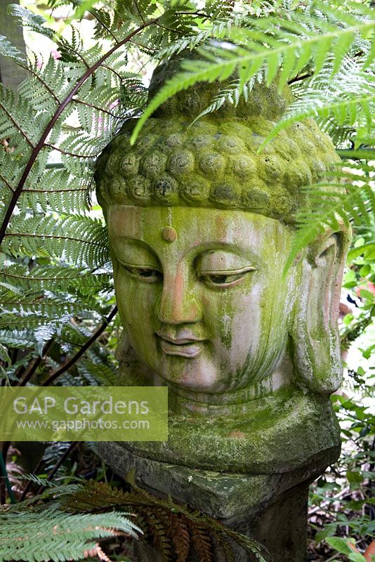 Buddha statue