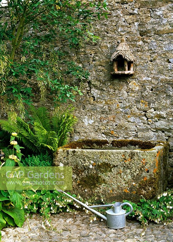 Old stone water trough against rustic stone wall, with thatched bird house, watering can, Laburnum vossii , ferns, hostas, buxus and Phlomis - Lawkland Hall, Yorkshire