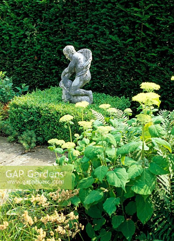 Lead statue set in Buxus cube with Yew hedge behind, Hydrangea 'Annabelle' and 'Luzula sylvatica' in shady corner - Lawkland Hall, Yorkshire