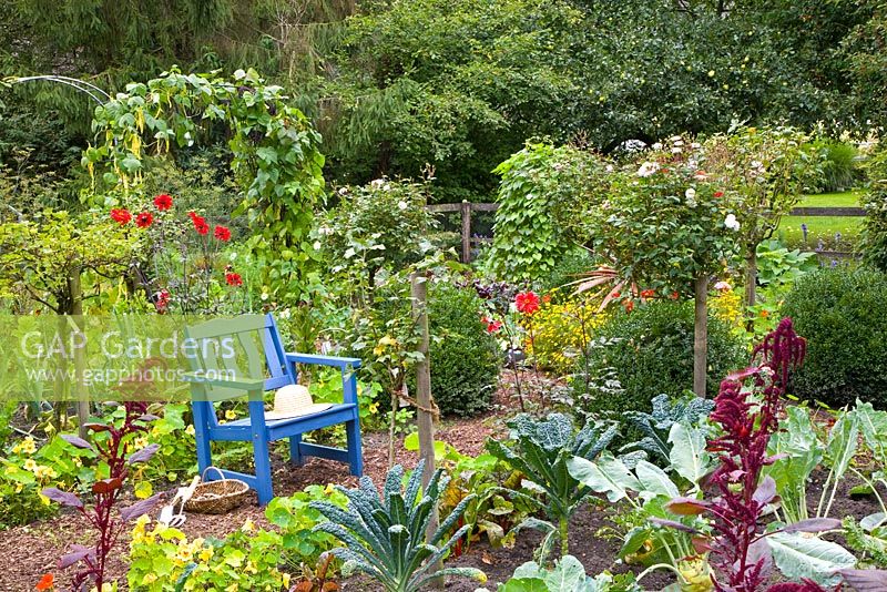 Seating area in Potager - Planting includes Brassica oleracea 'Nero Di Toscana',   Phaseolus 'Neckargold', Phaseolus 'Blauhilde', Tropaelum and Amaranthus