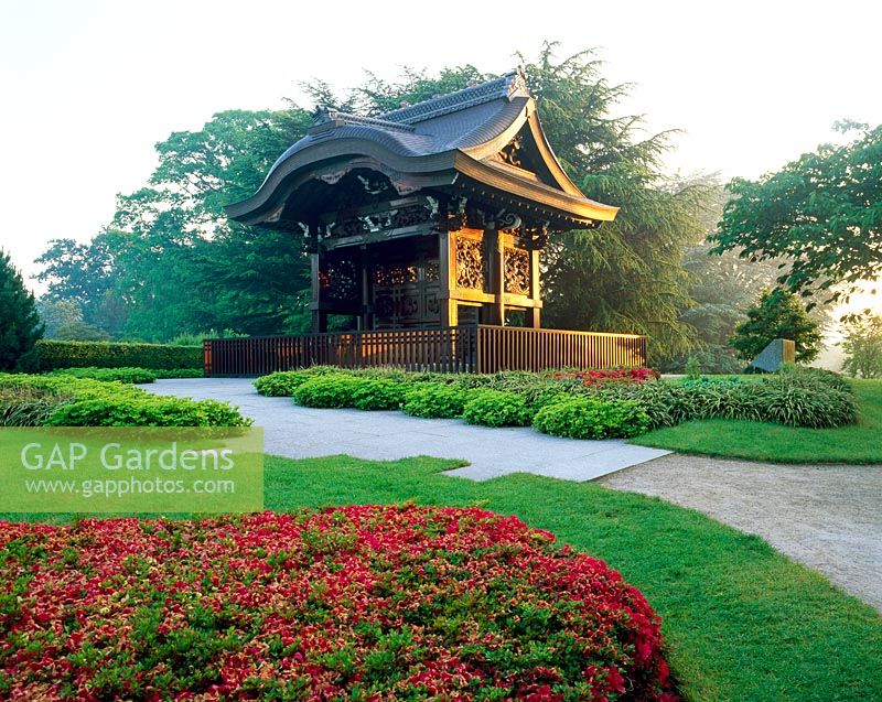 Early morning sun on the Japanese Gateway, Chokushi-Mon, with the red flowers of Rhododendron 'Mother's Day' in the foreground. Compact evergreen shrubs of Pachysandra terminalis near building - 
The Japanese Landscape, RGB Kew.