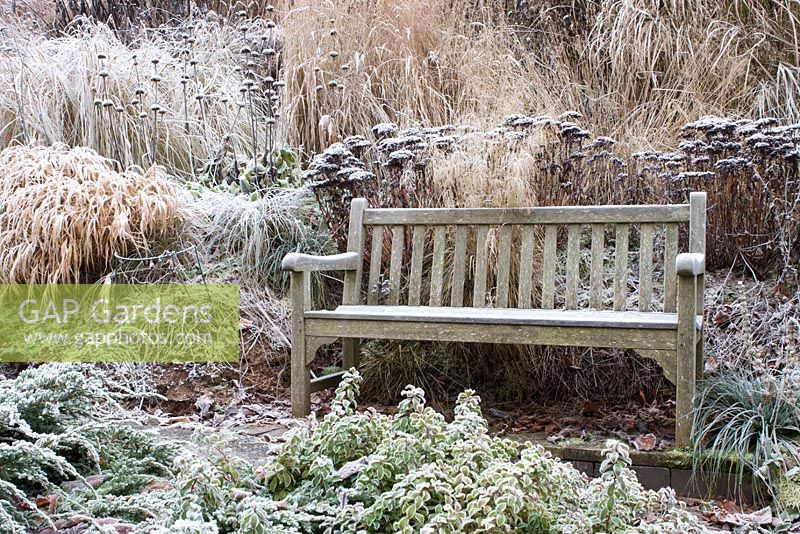 Wooden bench with prairie planting in winter