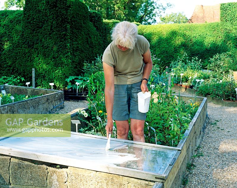 Nursery manager, Kathleen Leighton, painting shading on the glass frames at Great Dixter Nursery, East Sussex