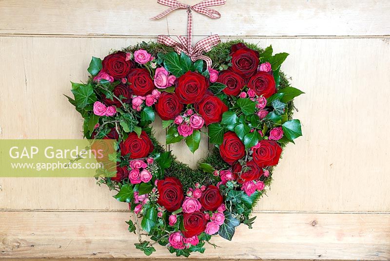 Valentine's wreath made from pink and red roses with ivy