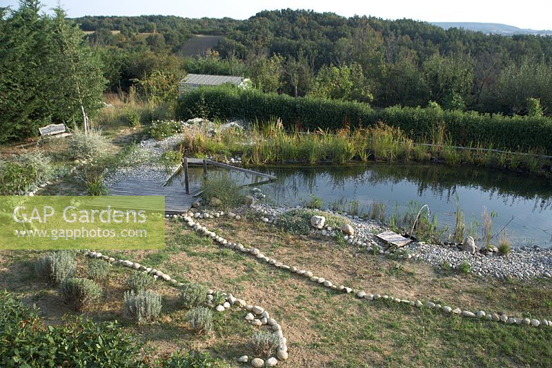 Natural swimming pond in South of France garden edged with large pebbles, lavender and silvery-grey planting