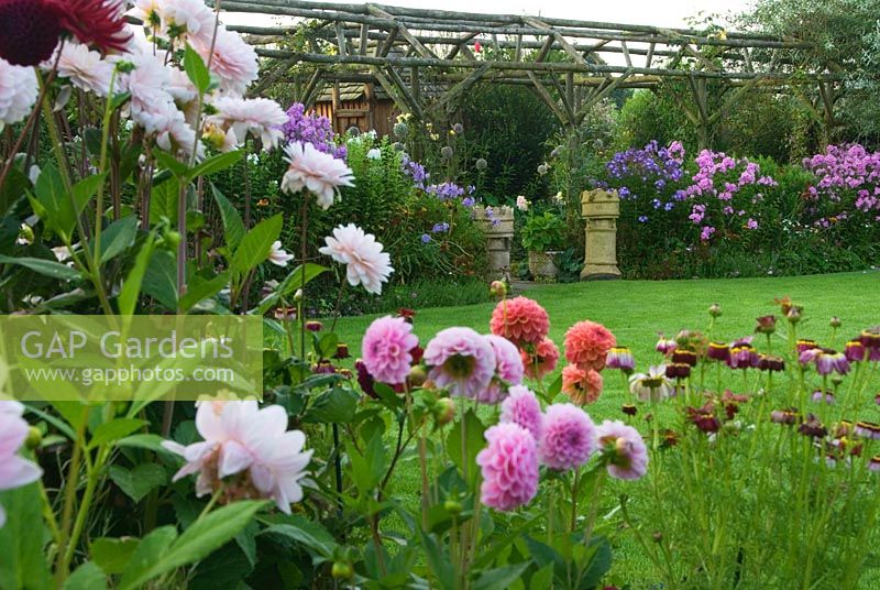 Containers full of Dahlias and Chrysanthemum carinatum with pergola beyond - Hilltop, Stour Provost, Dorset