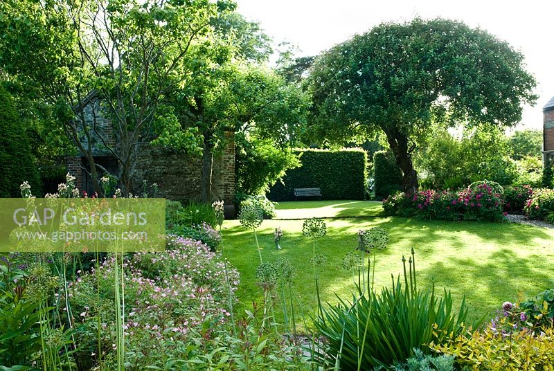 View of immaculate garden with old apple trees, herbaceous borders, beech hedges and roses - Cerne Abbas, Dorset