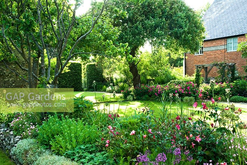 View of immaculate garden with old apple trees, herbaceous borders, beech hedges and roses - Cerne Abbas, Dorset