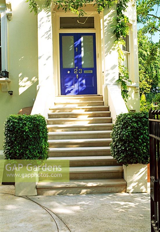 Front entrance to this London house. Ivy covered pillars and Wisteria grows around the doorway. Note the steel trace inlaid into the concrete floor leading you to the entrance.