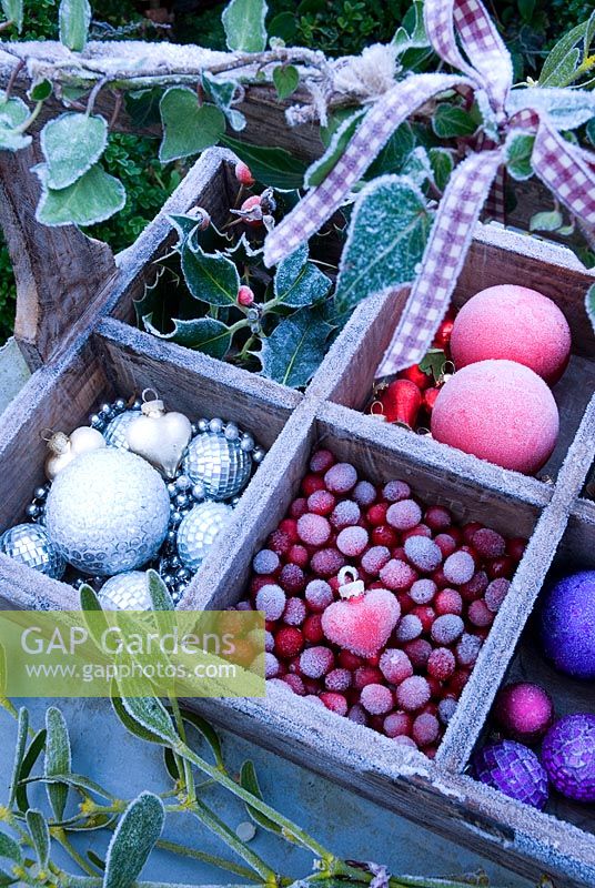 Frosty trug with frosted baubles, cranberries and foliage