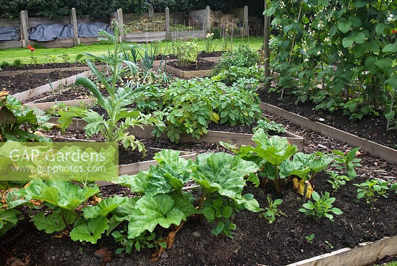 Raised flower and vegetable beds with rhubarb, onion, runner bean and chrysanthemum, and compost bins beyond, at Greenacre, Clayton-le-Dale, Lancashire NGS garden 