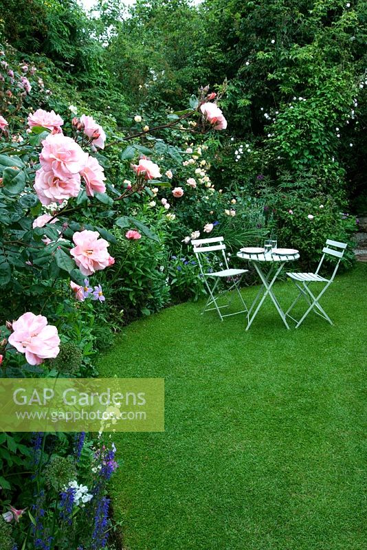 The secret garden with lawn, wooden table and chairs and Rosa 'Natalie' - Cross Villas, Shropshire 