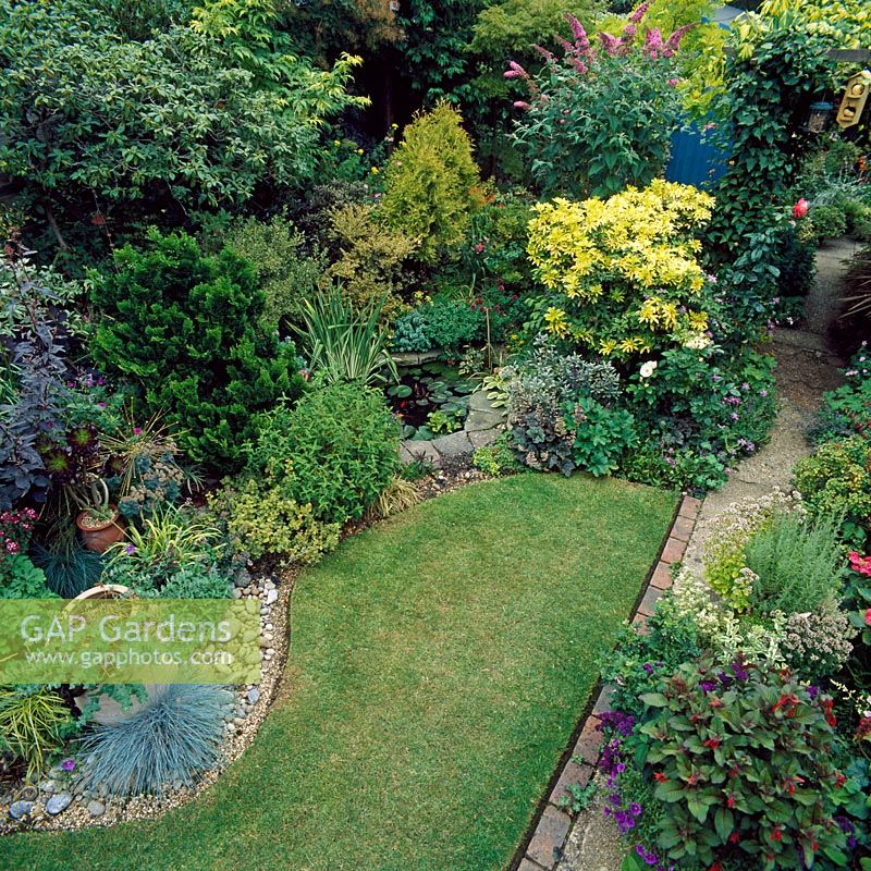 Overview of town garden with lawn and mixed planting - Barnet, London 
