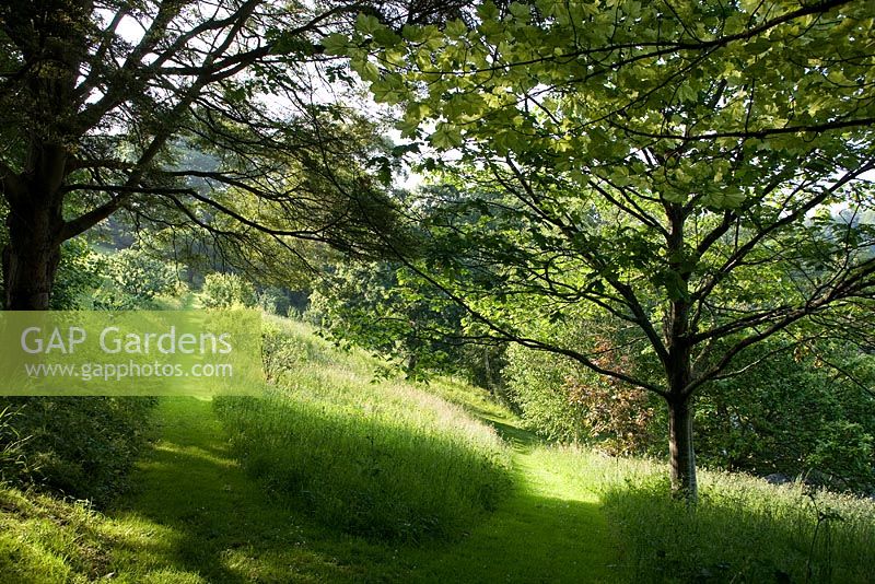 Mown grass paths - Bridget McCrum's garden at Hamblyn's Coombe, Devon